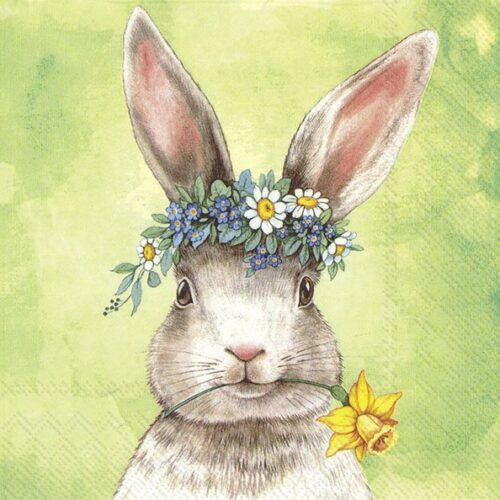 IHR Lunch Serviette Easterfriends Bunny Green